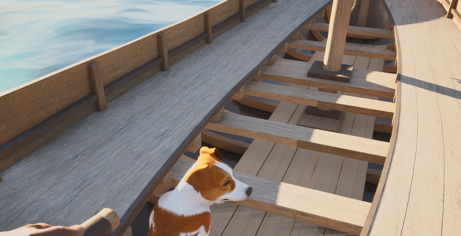 El perro entre los bancos de madera del llaüt